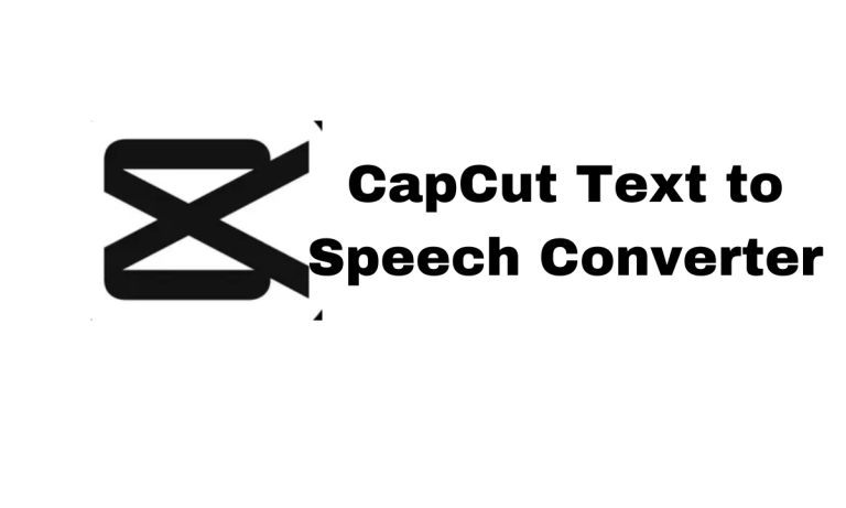 How to Use CapCut Text to Speech Converter?